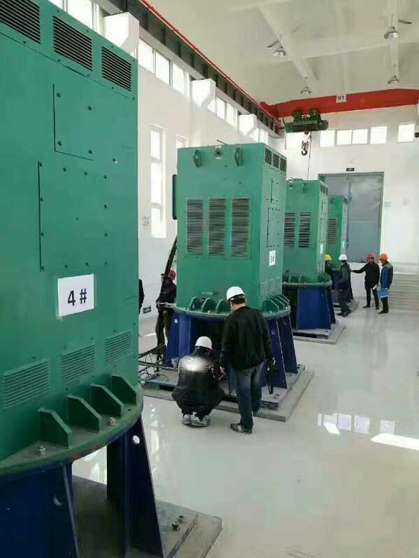 濂溪某污水处理厂使用我厂的立式高压电机安装现场